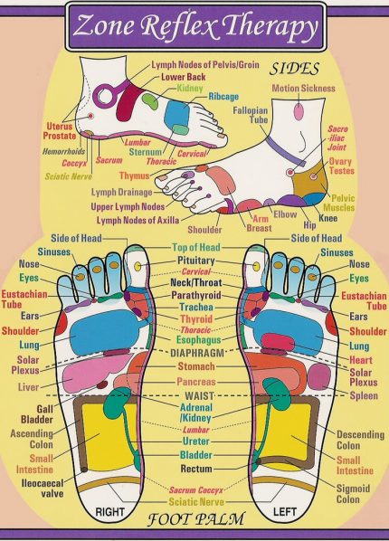 Reflex Chart - Sveta's Skin & Body Therapy